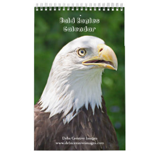 2027 Weißkopfseeadler Tierfotografie Kalender