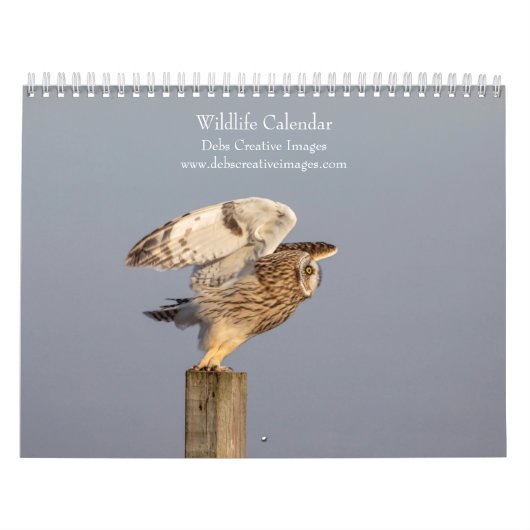 2027 Wildlife-Abenteuer | Naturfotografie Kalender (Titelbild)