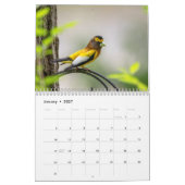 2027 Wildlife-Abenteuer | Naturfotografie Kalender (Jan 2027)