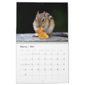 2027 Wildlife-Abenteuer | Naturfotografie Kalender (Feb 2027)
