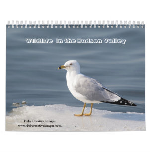 2027 Wildlife des Hudson Valley Natur Kalender