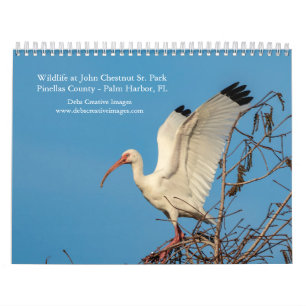 2027 Wildlife im John Chesnut Sr. Park Florida Kalender