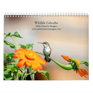 2027 Wildlife-Kollektion Nordamerikanische Natur Kalender