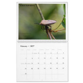 2027 Wildtier-Fotokalender Kalender (Feb 2027)
