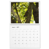 2027 Wildtier-Fotokalender Kalender (Mär 2027)