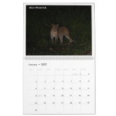 2027 Wildtier-Fotokalender Kalender (Jan 2027)