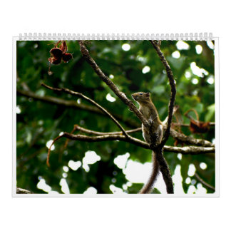 2027 Wildtier-Fotokalender Kalender