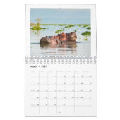 2027 Wildtier-Fotokalender Kalender (Mär 2027)