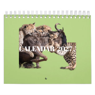 2027 Wildtier-Fotokalender Kalender