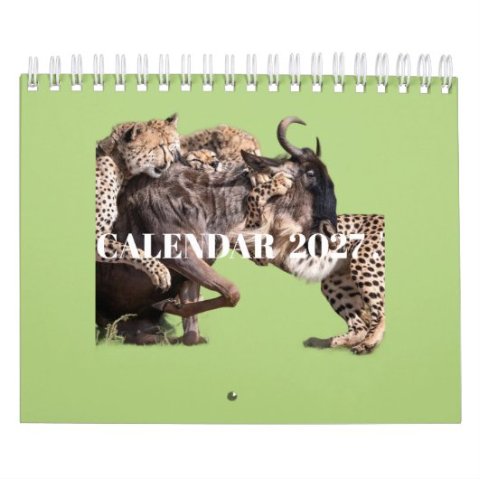 2027 Wildtier-Fotokalender Kalender (Titelbild)