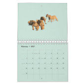 2027 Wildtier-Fotokalender Kalender (Feb 2027)