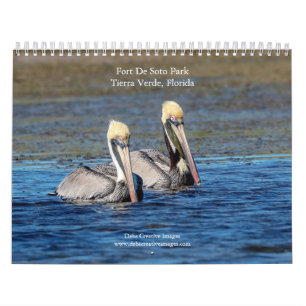 2027 Wildtiere im Fort De Soto Park, Florida Natur Kalender