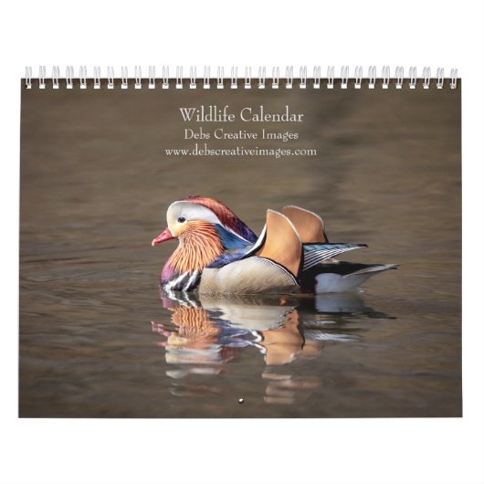 2027 Wildtiere Nordamerikas | Naturfotografie Kalender (Titelbild)