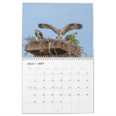 2027 Wildtiere Nordamerikas | Naturfotografie Kalender (Mär 2027)