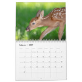 2027 Wildtiere Nordamerikas | Naturfotografie Kalender (Feb 2027)