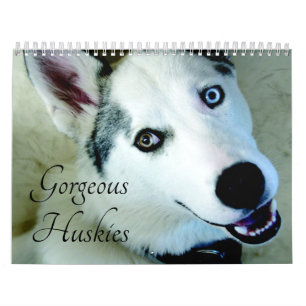 2027 Wunderschöner Siberian Husky Hundekalender Kalender