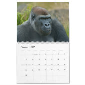 2027 Zeitloser Lope Western Flachlandgorilla Kalender (Feb 2027)