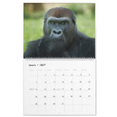 2027 Zeitloser Lope Western Flachlandgorilla Kalender (Mär 2027)
