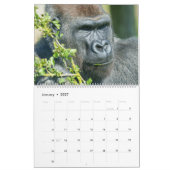2027 Zeitloser Lope Western Flachlandgorilla Kalender (Jan 2027)