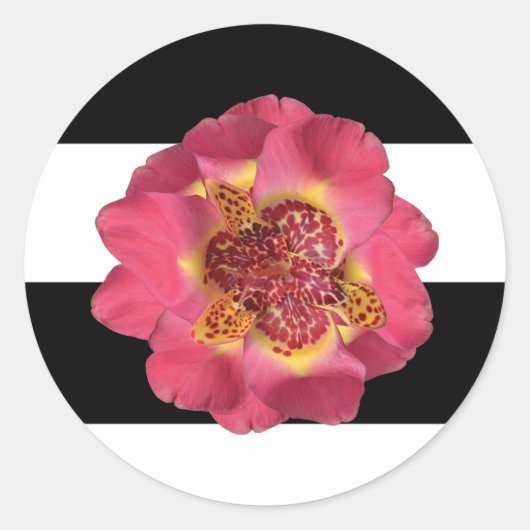 20 - 1,5 Umschlag Aufkleber Moderner Streifen Schw (Vorderseite)