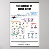20 Aminosäuren mit ihren Eigenschaften Poster (Vorne)