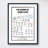 20 Aminosäuren mit ihren Eigenschaften Poster