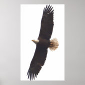 20. April 2025 Poster (Vorne)