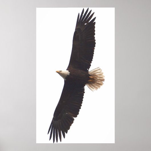 20. April 2025 Poster (Vorne)