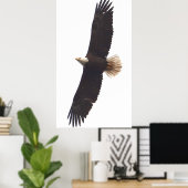 20. April 2025 Poster (Heimbüro)