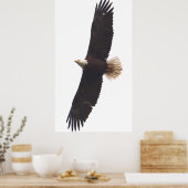 20. April 2025 Poster (Küche)