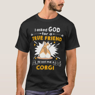 20 Er schickte mir einen Corgi T-Shirt