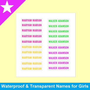 20 farbige Tags, Girly Transparent Namensaufkleber Aufkleber
