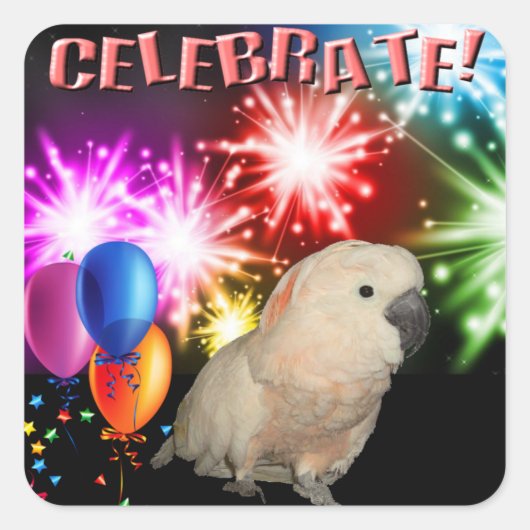 20 Moluccan Cockatoo-Aufkleber Quadratischer Aufkleber (Vorderseite)