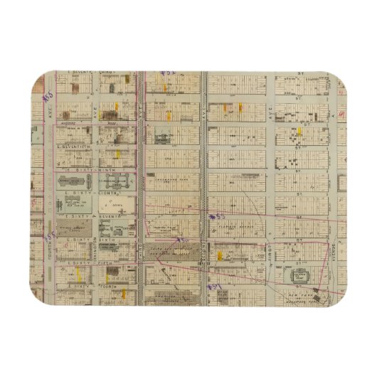 20 Ward 19 Magnet (Horizontal)