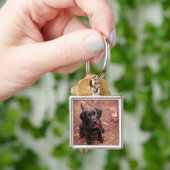 20 Wochen-alter schwarzer Labrador Schlüsselanhänger (Hand)