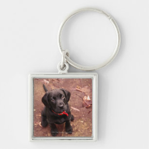 20 Wochen-alter schwarzer Labrador Schlüsselanhänger