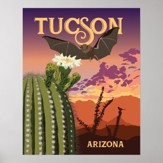 20" x16" Bat und Saguaro Sunset Poster (Vorne)