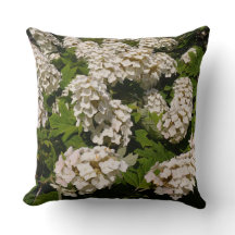 20"x20" Oakleaf Hydrangea