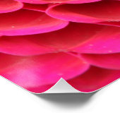 20"x20", Poster Paper (Semi-Gloss) Hot Pink Blume (Ecke)