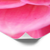20"x20", Poster Paper (Semi-Gloss), rosa Blume (Ecke)