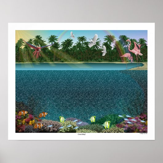 20" x 16" 3D-Poster "Coral Reef" von Magic Eye® Poster (Vorne)