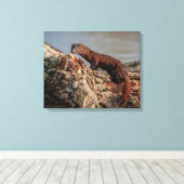 20 x 16 amerikanischer Mink Leinwanddruck (Insitu (Holzboden))