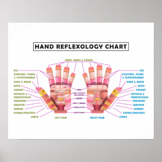 20" x 16", Handreflexologie-Poster Poster (Vorne)