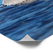 20 x 16 Paare auf Pelikanen Poster (Ecke)