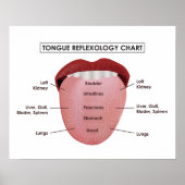 20" x 16", Tabelle der Zungenreflexologie (Matte) Poster (Vorne)