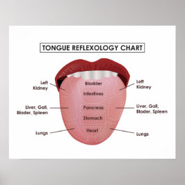 20" x 16", Tabelle der Zungenreflexologie (Matte) Poster