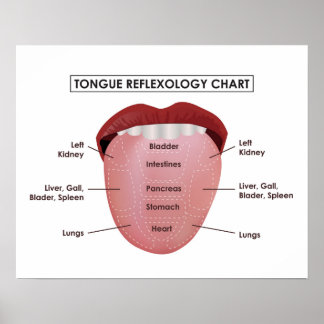 20" x 16", Tabelle der Zungenreflexologie (Matte) Poster