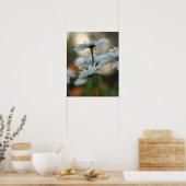 20" x 16", Value Poster Paper (Matte) (Küche)