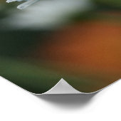 20" x 16", Value Poster Paper (Matte) (Ecke)