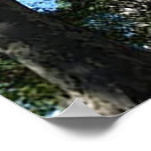 20" x 16", Value Poster Paper (Matte) (Ecke)